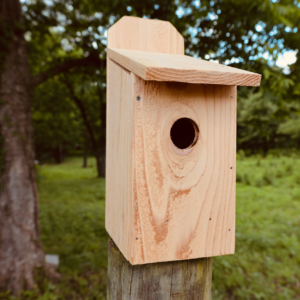 Frank Brothers Birdhouse