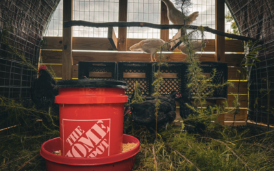 DIY Bulk Chicken Feeder