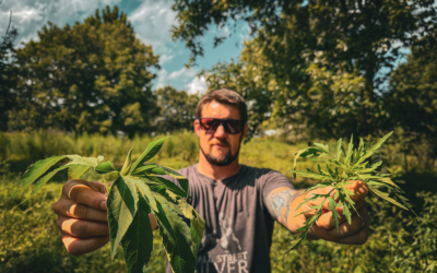 What’s Growing in Our Pasture? A Forage Identification Walk